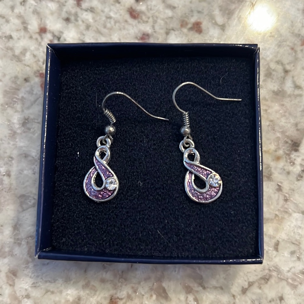Purple Stainless Steel Earrings, NWOT